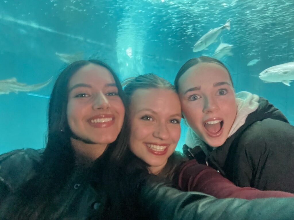 d9644ee2 8c90 4517 8a3e ba7cdd228047