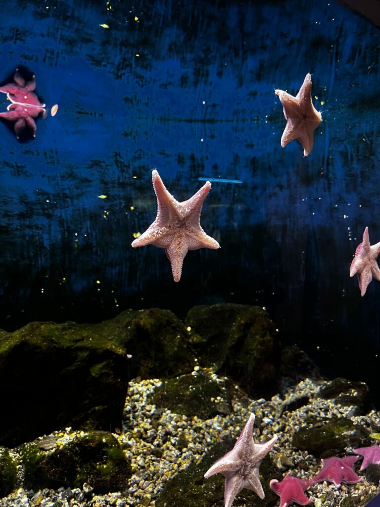 d9a8407b 5ea0 4686 af21 466c860b5bbb