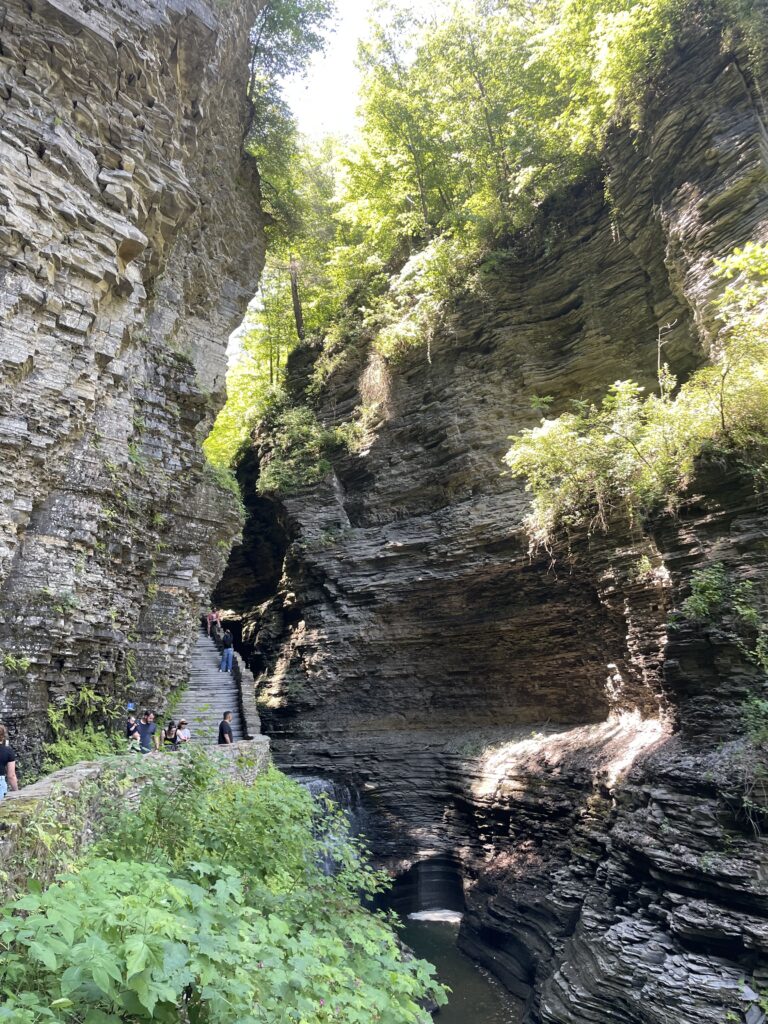 Watkins Glen