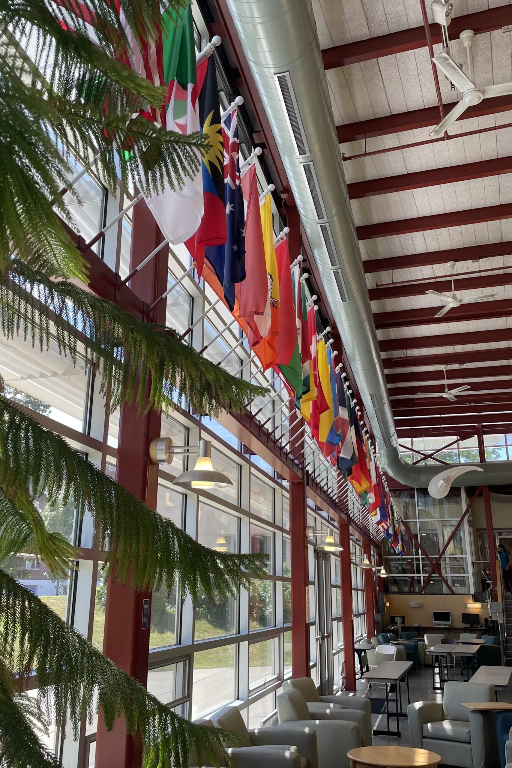 Flags 